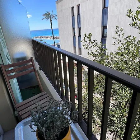 L'alcyon - Le 23 Рокебрюн — Кап-Мартен